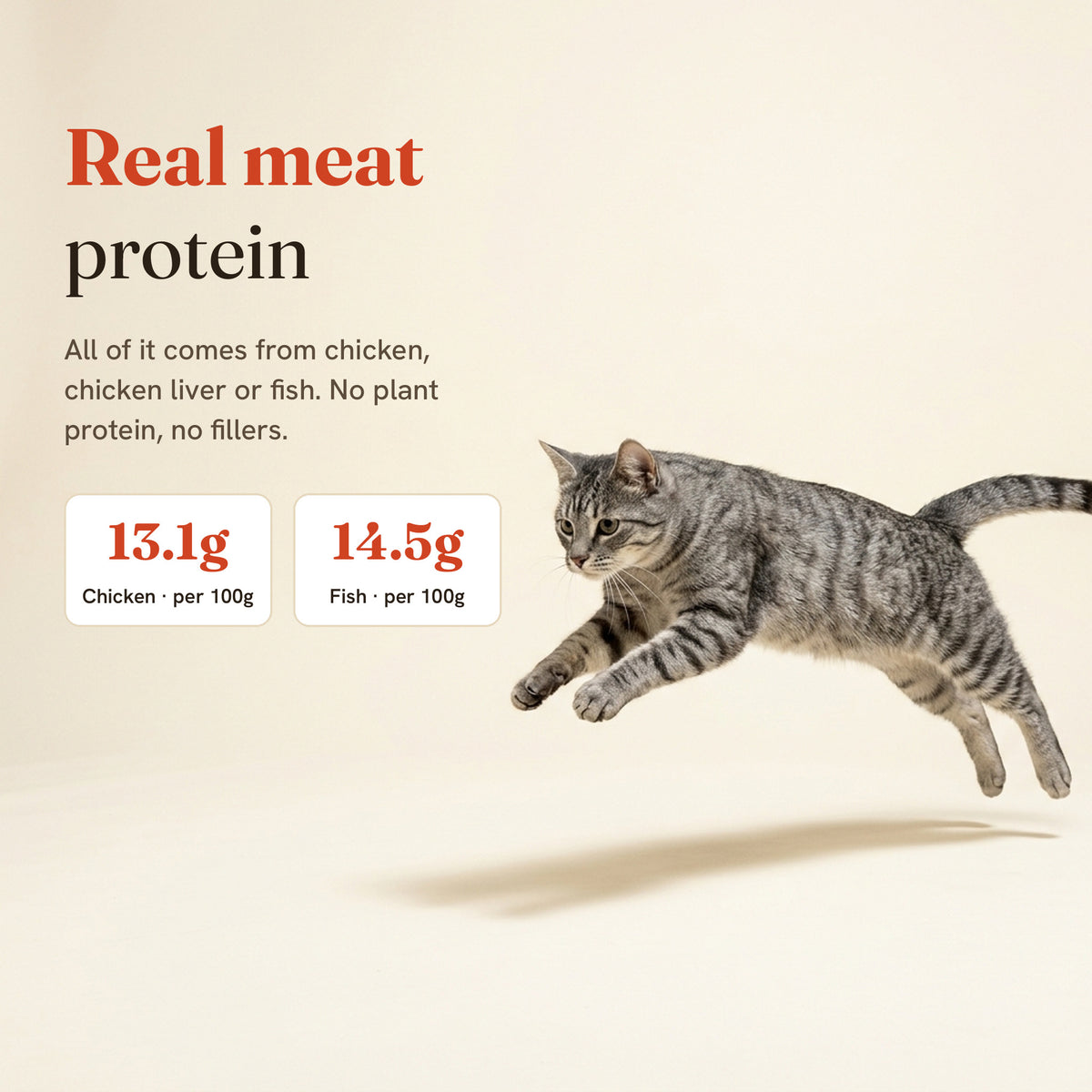 Grey tabby cat leaping: real meat protein, 13.1g in chicken and 14.5g in fish per 100g.