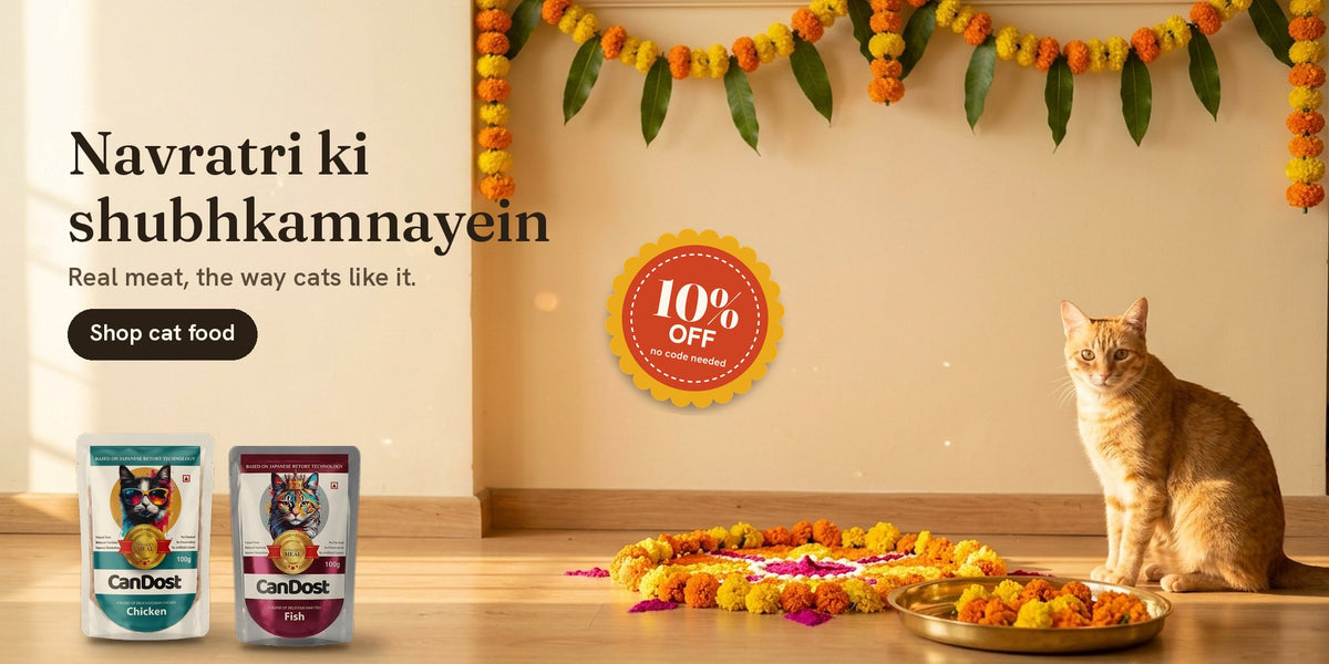 Navratri ki shubhkamnayein: 10% off CanDost wet cat food, no code needed