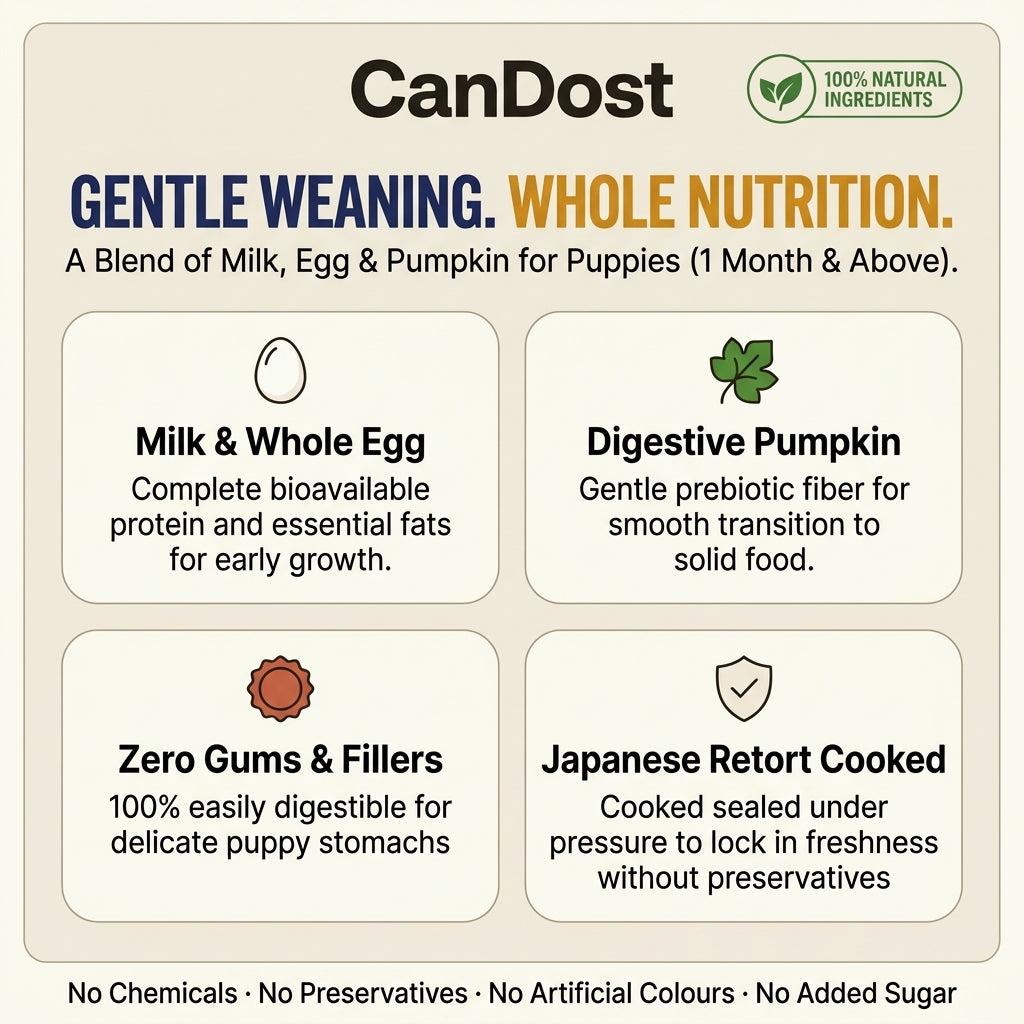 CanDost Puppy Starter — Wet Puppy Food