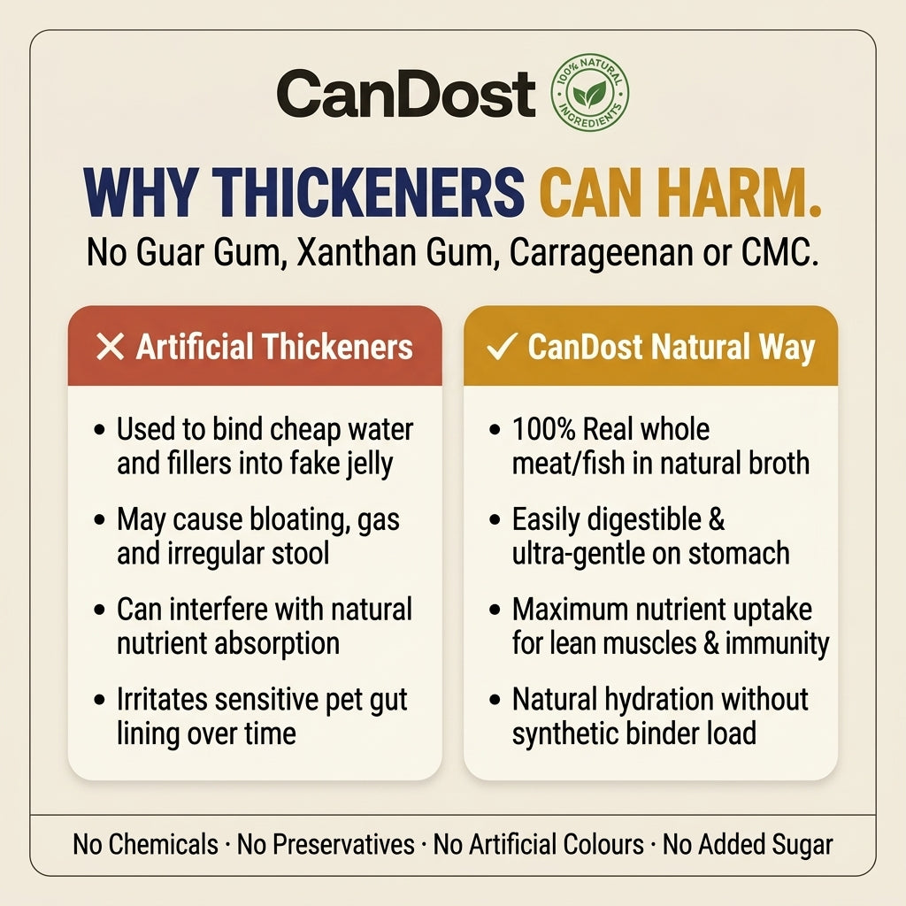 CanDost Chicken & Rice — Wet Dog Food